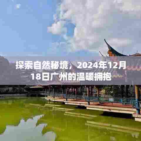 自然秘境探寻之旅,广州温暖拥抱日 2024年12月18日