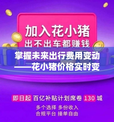 花小猪出行费用变动解析,实时价格指南(适用于初学者与进阶用户)