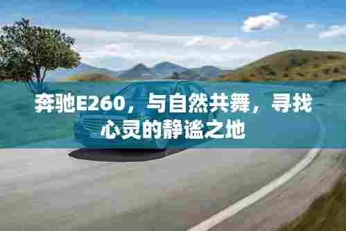奔驰E260,与自然和谐共舞,探寻内心宁静之地