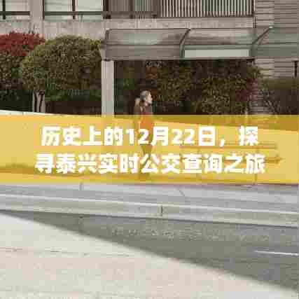 历史上的重要时刻，探寻泰兴实时公交查询之旅的启程点