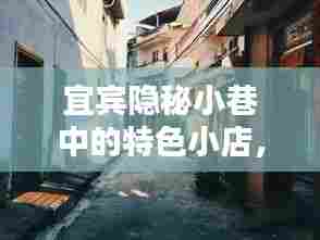 宜宾隐秘小巷特色小店与实时路况查询网,宜宾最新资讯分享