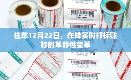 在线实时打标贴标的革命性变革,历年12月22日的里程碑纪事