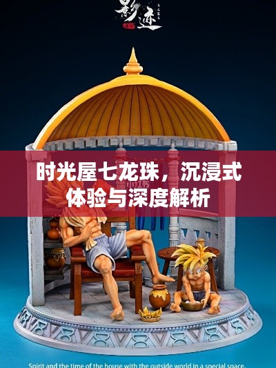 时光屋七龙珠,沉浸式体验与深度解读