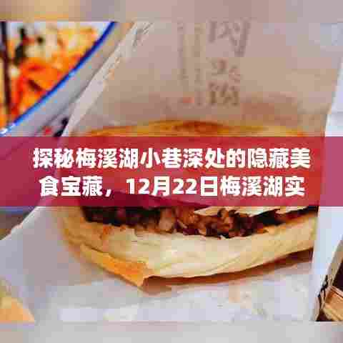 探秘梅溪湖小巷美食宝藏,实时直播探寻美味之旅(12月22日)