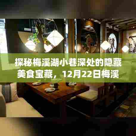 探秘梅溪湖小巷美食宝藏,实时直播探寻美味之旅(12月22日)