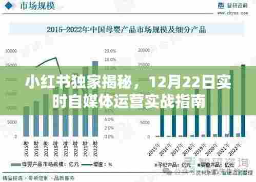 小红书独家揭秘,自媒体运营实战指南——12月22日实时更新攻略