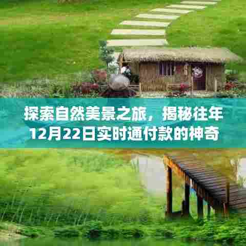 揭秘神奇功能,实时通付款与心灵之旅,共探自然美景探索之旅