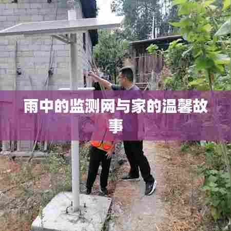 雨中监测网与家的温馨时光