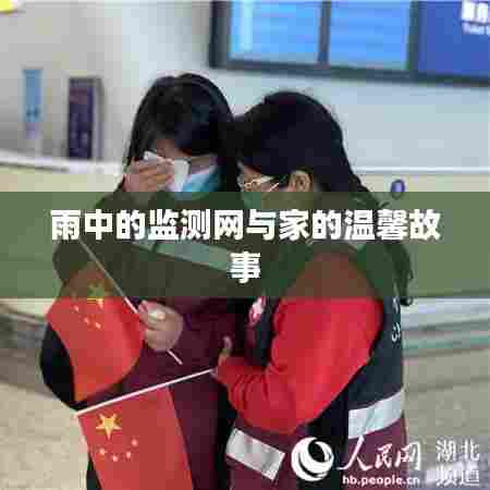 雨中监测网与家的温馨时光