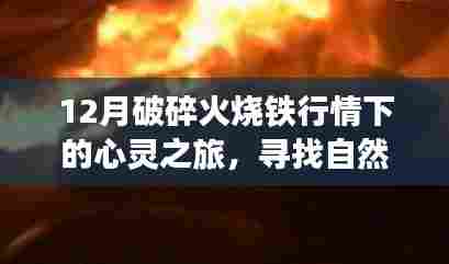 12月铁行情下的心灵之旅,探寻自然宝藏与内心宁静的旅程