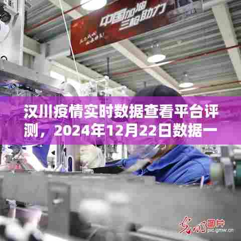 汉川疫情实时数据查看平台评测报告,2024年12月22日数据深度解析