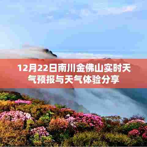 南川金佛山天气预报及天气体验分享(实时更新)