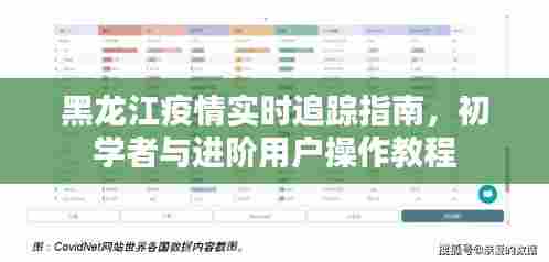 黑龙江疫情实时追踪指南,初学者与进阶用户操作手册