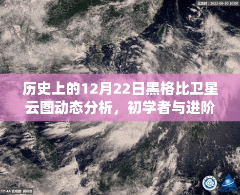 实用指南,历史上的12月22日黑格比卫星云图动态分析初学与进阶指南