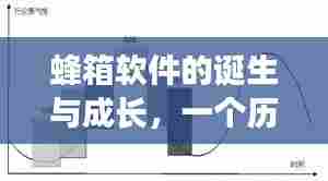 蜂箱软件的诞生与成长,历史视角下的深度探究