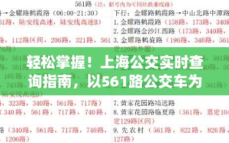 上海公交实时查询指南,轻松掌握561路公交车查询(适合初学者与进阶用户)