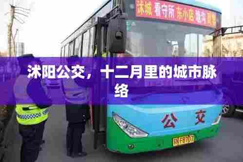 沭阳公交,十二月城市脉络的见证者