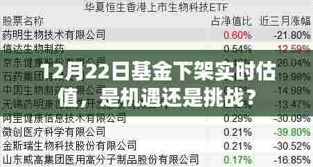 基金下架实时估值,机遇与挑战并存