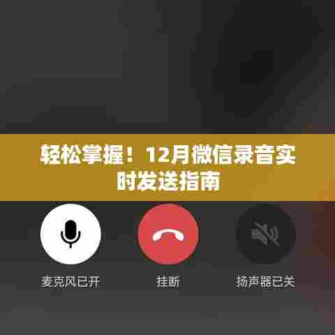 轻松掌握微信录音实时发送技巧,12月实时录音发送指南