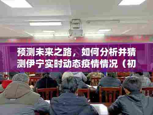 初学者与进阶用户指南,预测伊宁实时动态疫情情况分析手册