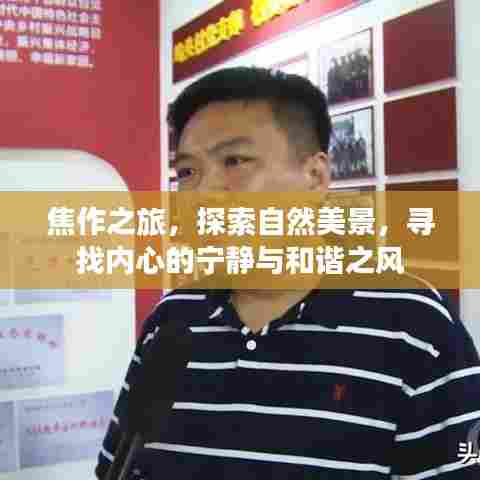 焦作之旅,探寻自然美景,寻觅内心宁静与和谐之风