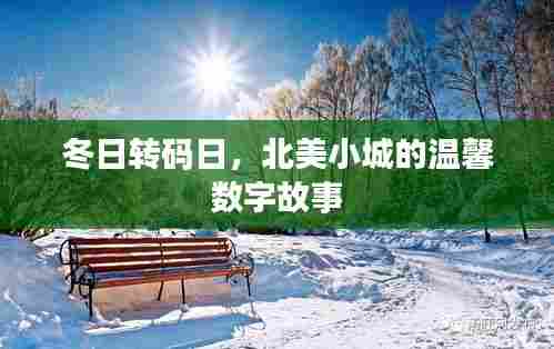 冬日转码日的北美小城数字温情故事