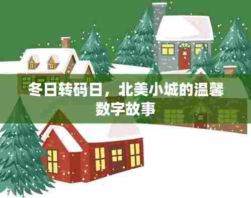 冬日转码日的北美小城数字温情故事