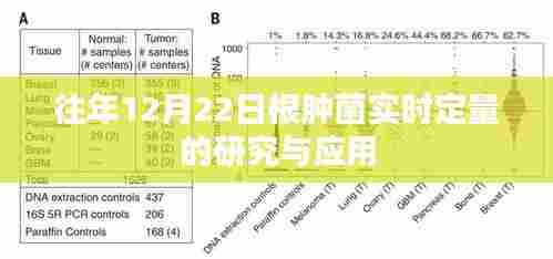 根肿菌实时定量研究与应用进展