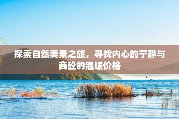 自然探索之旅,寻觅内心宁静与商砼温暖价格的体验