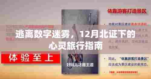 北证下的心灵之旅,逃离数字迷雾的指南