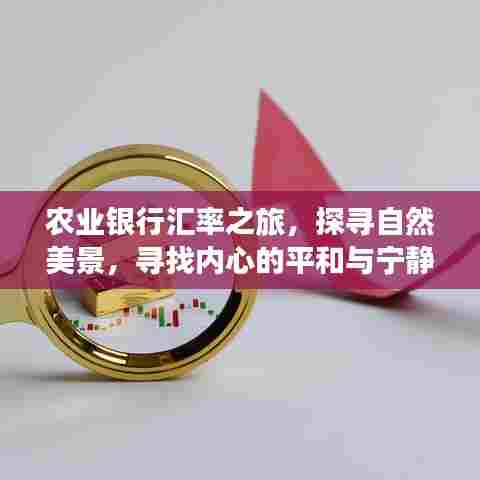 农业银行汇率之旅，探寻美景，寻觅心灵宁静