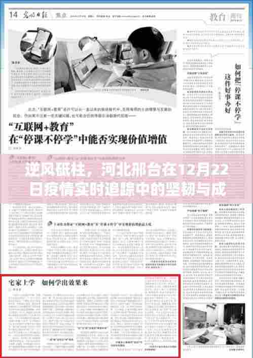 河北邢台疫情实时追踪，逆风砥柱的坚韧与成长之路