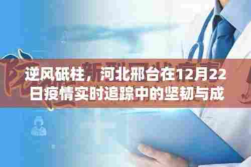 河北邢台疫情实时追踪,逆风砥柱的坚韧与成长之路