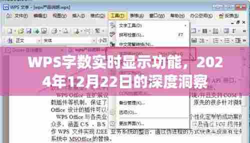WPS字数实时显示功能深度解析,2024年12月22日观察报告