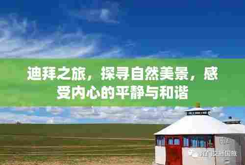 迪拜之旅,探寻自然美景,体验内心平和和谐之道