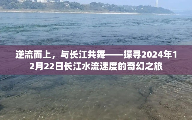逆流而上,共舞长江,探寻长江水流速度的奇幻之旅(2024年12月22日)