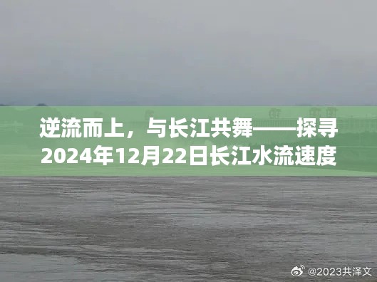 逆流而上,共舞长江,探寻长江水流速度的奇幻之旅(2024年12月22日)