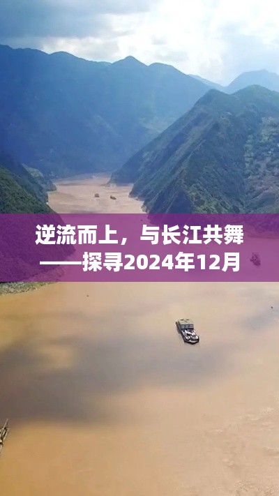 逆流而上,共舞长江,探寻长江水流速度的奇幻之旅(2024年12月22日)