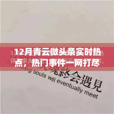 小红书带你洞悉风云变幻,十二月青云微头条热点事件一网打尽