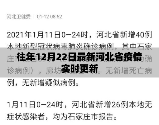 河北省疫情实时更新通知,最新数据发布