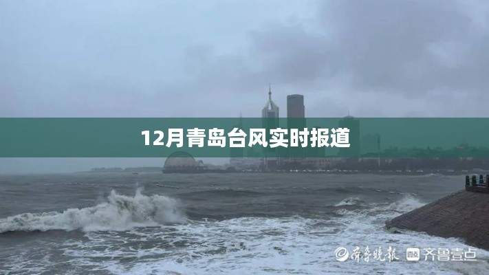 青岛台风最新实时报道,12月风暴动态