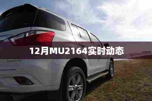 MU2164航班实时动态追踪报告