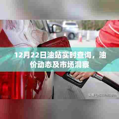 油站实时查询,油价动态与市场洞察(12月22日)
