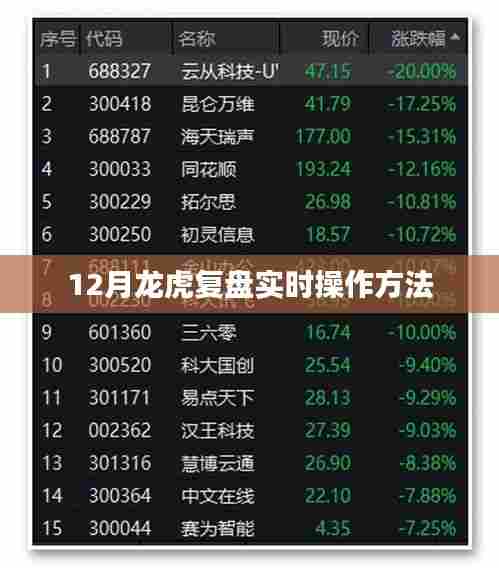 揭秘龙虎复盘,实时操作指南