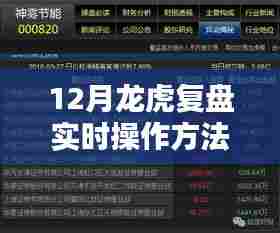 揭秘龙虎复盘,实时操作指南