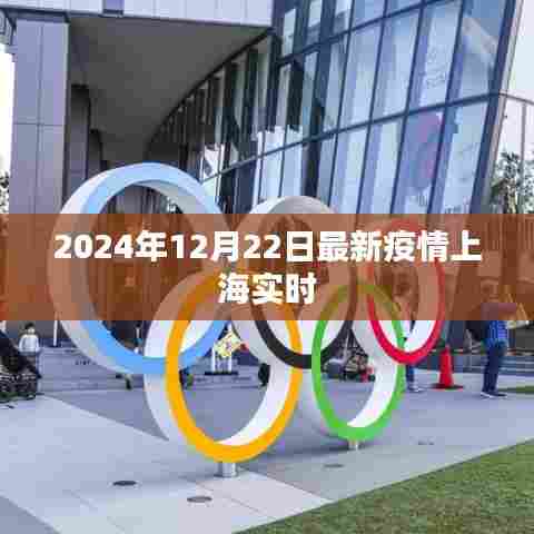 上海疫情实时更新,最新动态及防控措施