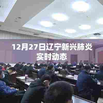 辽宁新兴肺炎最新实时动态(12月27日)