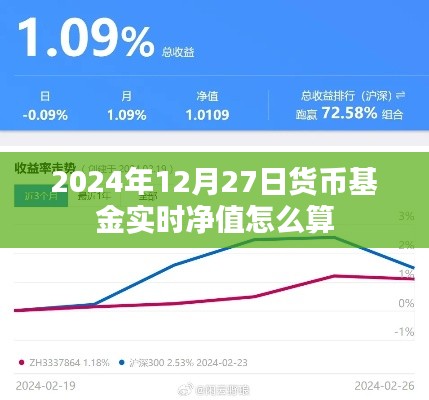 货币基金实时净值计算攻略,了解如何计算货币基金的净值