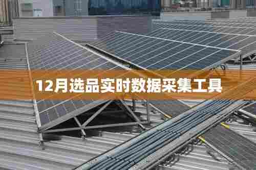 实时数据采集工具助力您高效选品