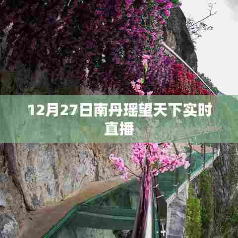 南丹瑶望天下直播盛典,12月27日精彩回顾